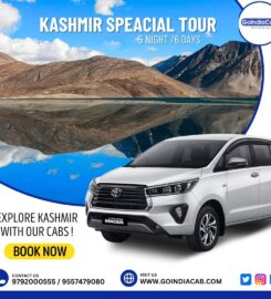 Go India Cab – Taxi Service in Delhi